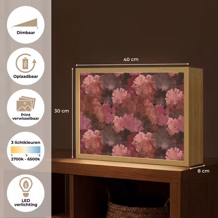 Koraal - Textuur - Kleurrijk Light Box met batterij (Wandlamp) middel 907 -USP_websiteoverzichtNL