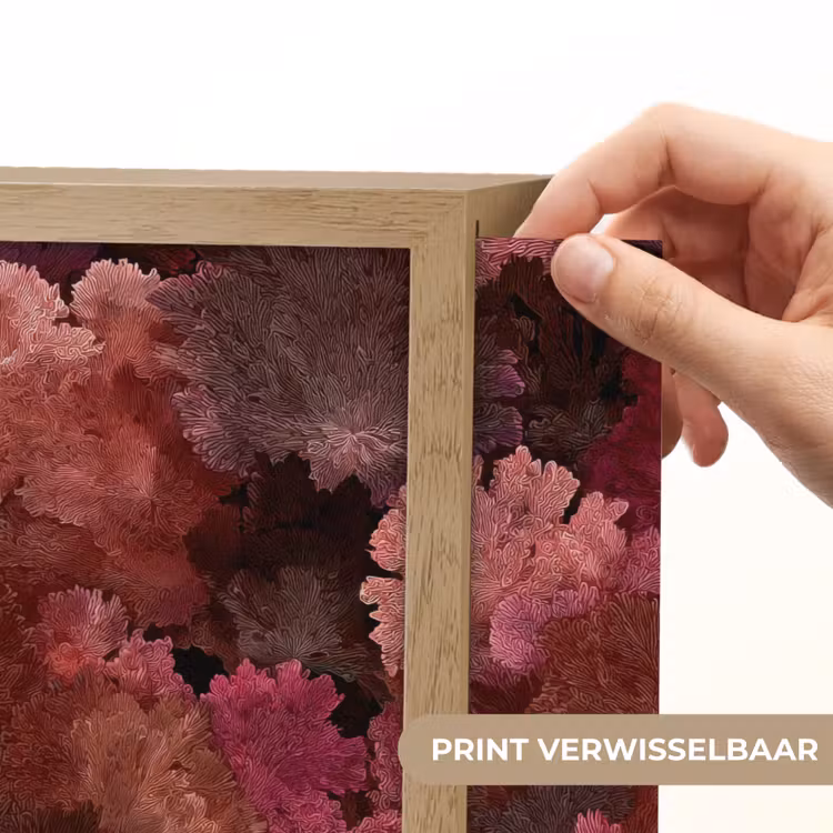 Koraal - Textuur - Kleurrijk Light Box met batterij (Wandlamp) middel 907 -USP_websiteprintNL