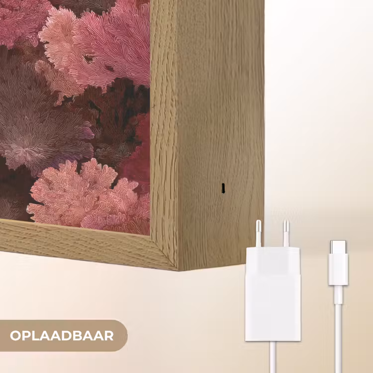 Koraal - Textuur - Kleurrijk Light Box met batterij (Wandlamp) middel 907 -USP_websiteoplaadbaarNL