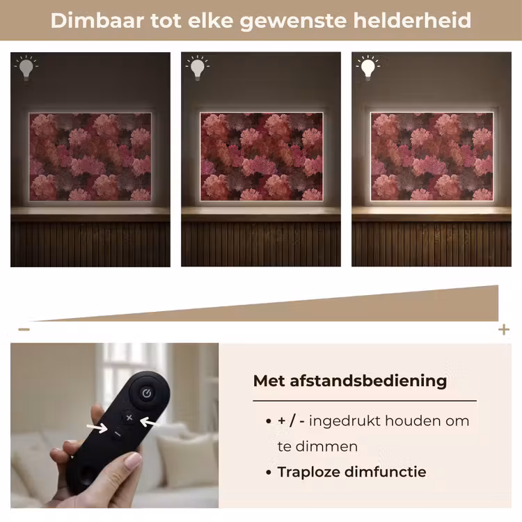 Koraal - Textuur - Kleurrijk Light Box met batterij (Wandlamp) middel 907 -USP_dimbaarNL