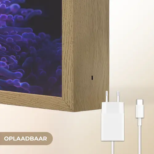 Koraal - Vis - Oranje - Zee Light Box met batterij (Wandlamp) middel -USP_websiteoplaadbaarNL