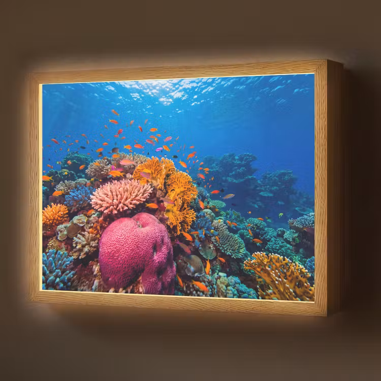 Koraal - Vissen - Oceaan - Natuur - Kleurrijk Light Box met batterij (Wandlamp) middel -z3d_website