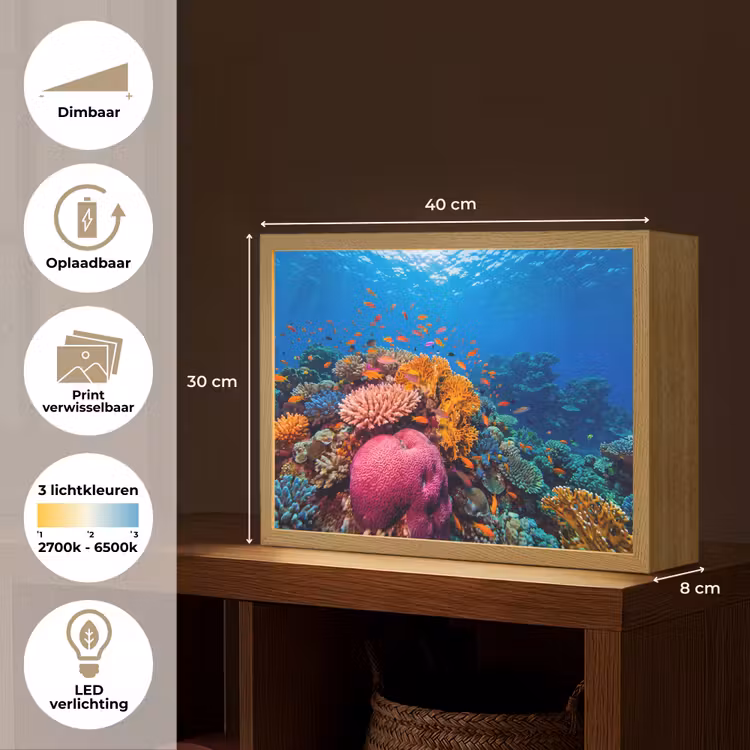 Koraal - Vissen - Oceaan - Natuur - Kleurrijk Light Box met batterij (Wandlamp) middel -USP_websiteoverzichtNL