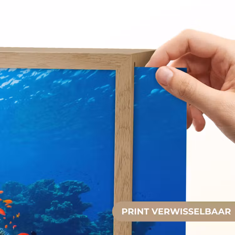 Koraal - Vissen - Oceaan - Natuur - Kleurrijk Light Box met batterij (Wandlamp) middel -USP_websiteprintNL