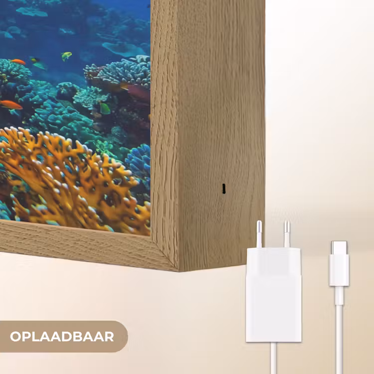 Koraal - Vissen - Oceaan - Natuur - Kleurrijk Light Box met batterij (Wandlamp) middel -USP_websiteoplaadbaarNL