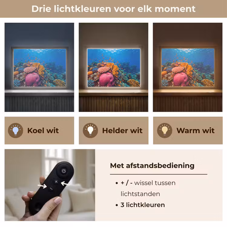 Koraal - Vissen - Oceaan - Natuur - Kleurrijk Light Box met batterij (Wandlamp) middel -USP_lichtkleurNL