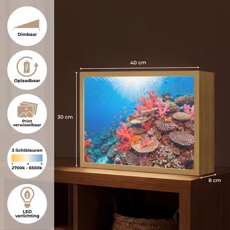 Koraalrif - Vissen - Onderwater - Tropisch - Rood Light Box met batterij (Wandlamp) middel -USP_websiteoverzichtNL