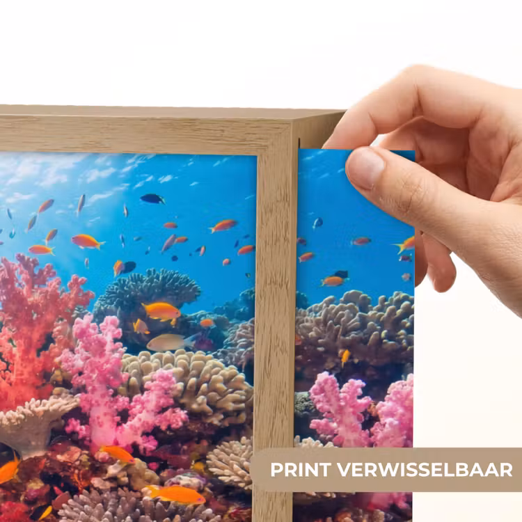 Koraalrif - Vissen - Onderwater - Tropisch - Rood Light Box met batterij (Wandlamp) middel -USP_websiteprintNL