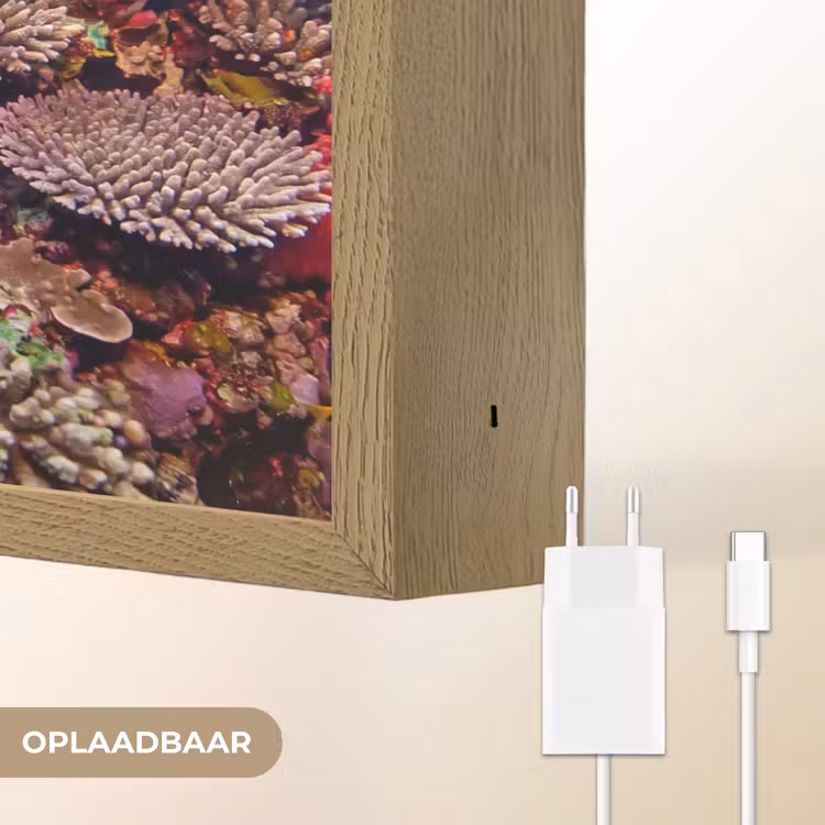 Koraalrif - Vissen - Onderwater - Tropisch - Rood Light Box met batterij (Wandlamp) middel -USP_websiteoplaadbaarNL