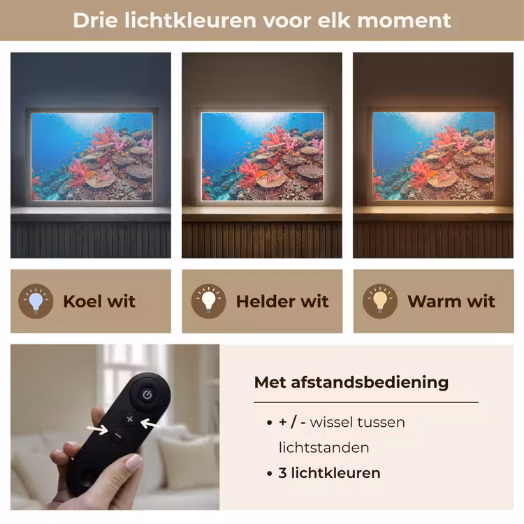 Koraalrif - Vissen - Onderwater - Tropisch - Rood Light Box met batterij (Wandlamp) middel -USP_lichtkleurNL