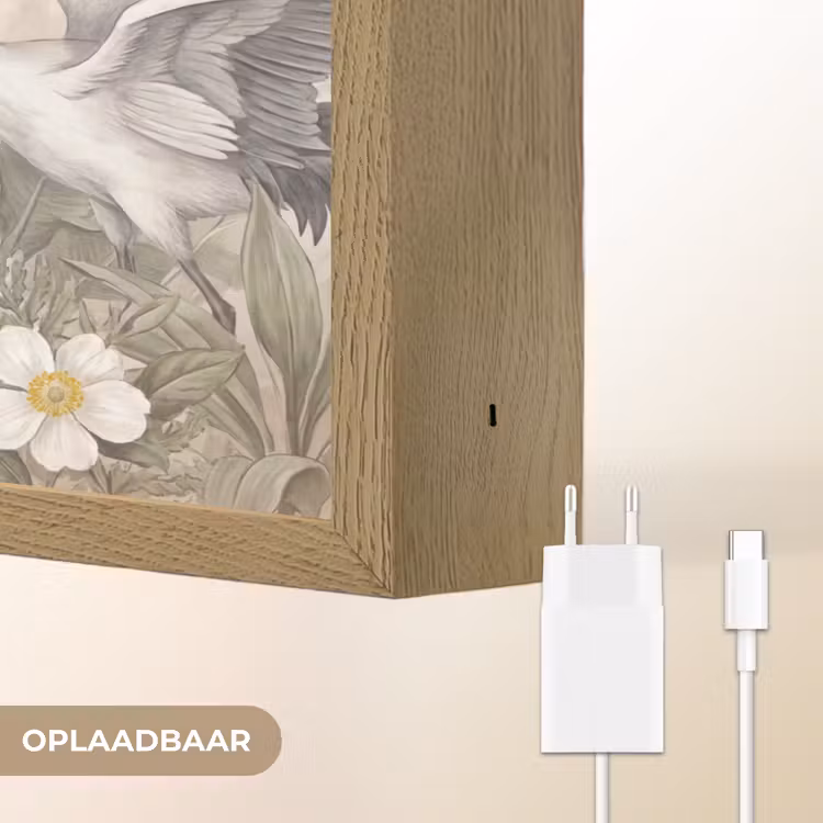 Kraanvogels - Natuur - Roze Light Box met batterij (Wandlamp) middel -USP_websiteoplaadbaarNL