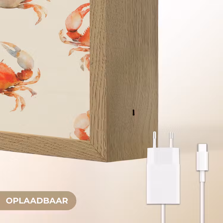 Krabben - Patroon - Oranje Light Box met batterij (Wandlamp) middel 907 -USP_websiteoplaadbaarNL
