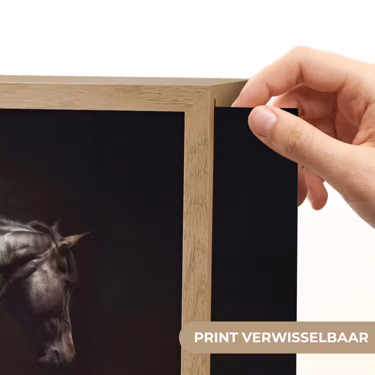Krachtig - Paard - Donker Light Box met batterij (Wandlamp) middel -USP_websiteprintNL