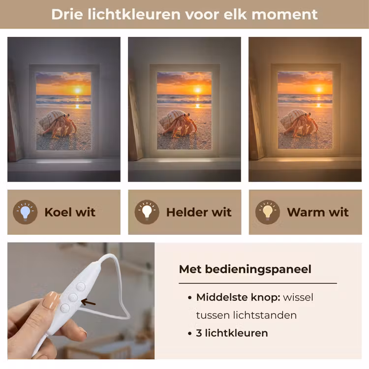 Kreeft - Strand - Natuur - Zonsondergang - Oranje Light Box met kabel (Wandlamp) klein -USP_lichtkleurNL