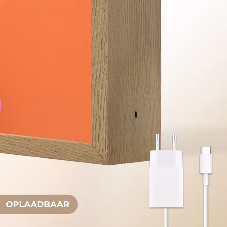 Kunst - Disco bal - Kleurrijk - Modern - Studio Light Box met batterij (Wandlamp) middel -USP_websiteoplaadbaarNL
