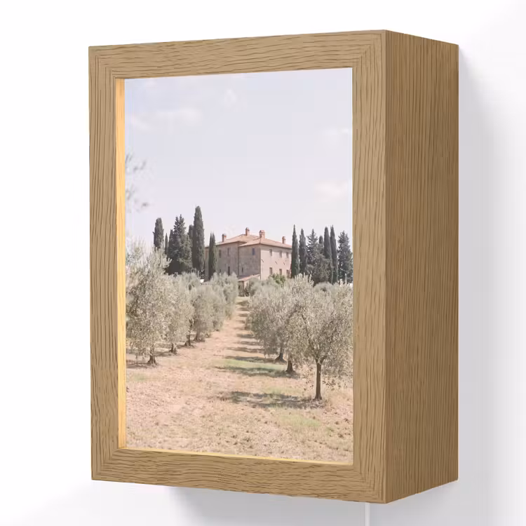 Lightbox - Wandlamp - Landhuis - olijfboom - gaard - Landhuis - olijfboom - gaard Light Box met kabel (Wandlamp) klein