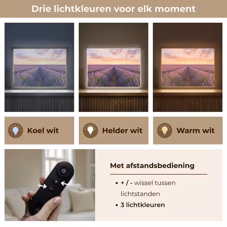 Landschap - Lavendelveld - Paars Light Box met batterij (Wandlamp) middel -USP_lichtkleurNL