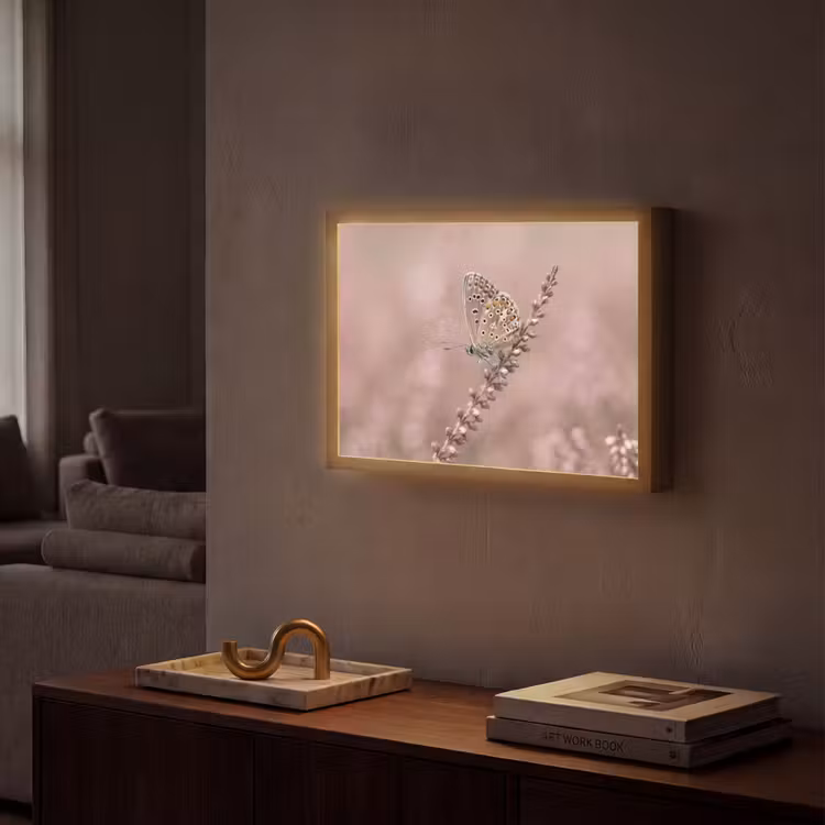 Lavendel - Vlinder - Paars Light Box met batterij (Wandlamp) middel -sfeer1