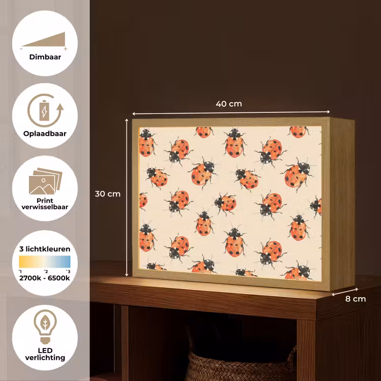 Lieveheersbeestjes - Patroon - Rood Light Box met batterij (Wandlamp) middel 907 -USP_websiteoverzichtNL