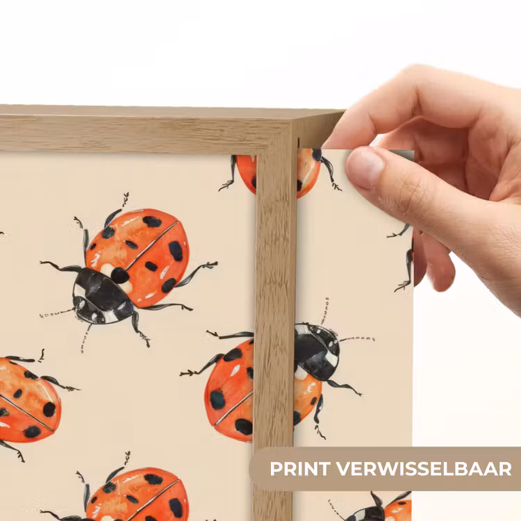 Lieveheersbeestjes - Patroon - Rood Light Box met batterij (Wandlamp) middel 907 -USP_websiteprintNL