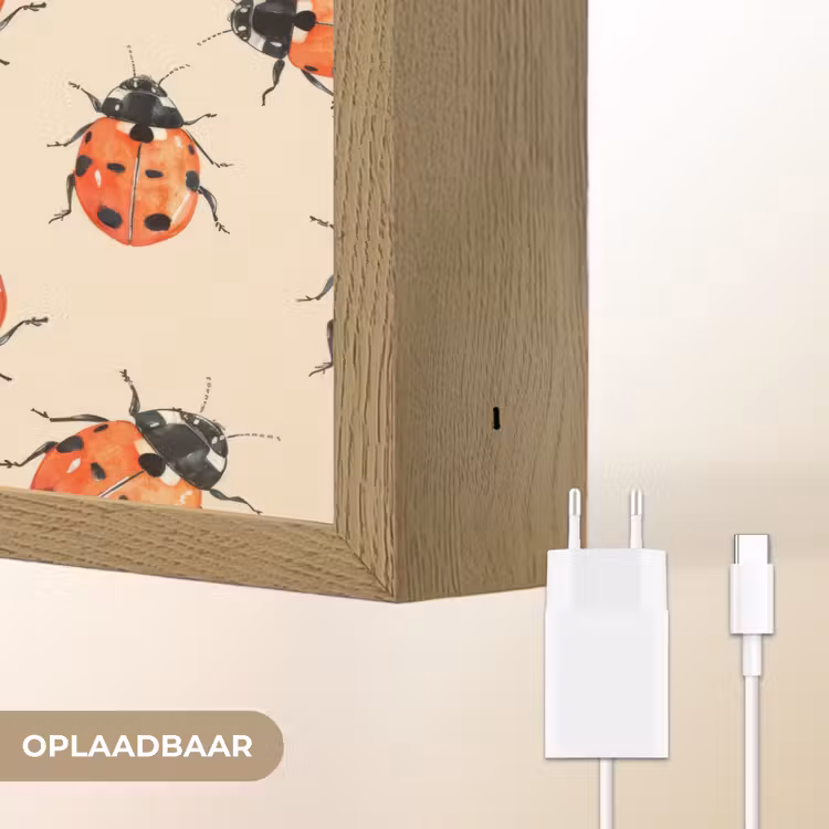 Lieveheersbeestjes - Patroon - Rood Light Box met batterij (Wandlamp) middel 907 -USP_websiteoplaadbaarNL