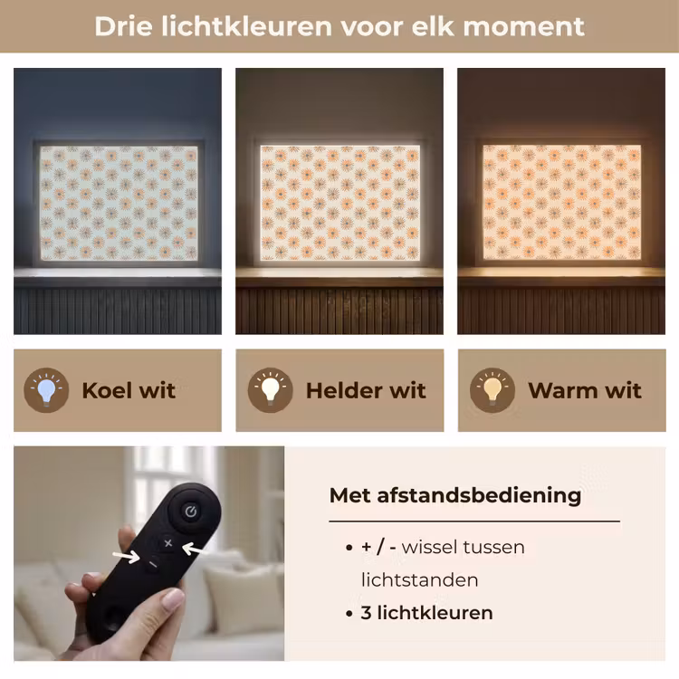 Madelief - Patroon - Oranje Light Box met batterij (Wandlamp) middel 907 -USP_lichtkleurNL