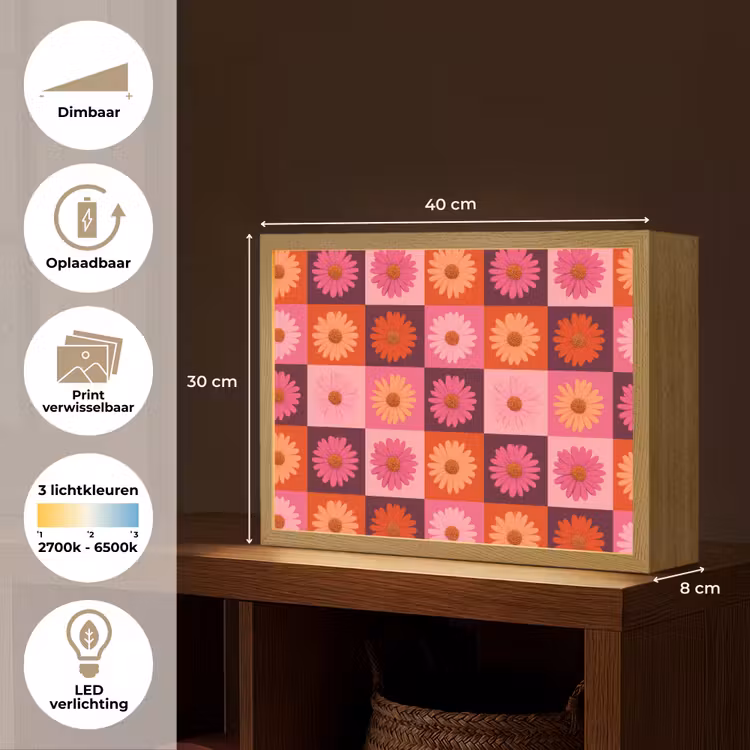 Madeliefjes - Dambord - Retro - Roze - Oranje Light Box met batterij (Wandlamp) middel 907 -USP_websiteoverzichtNL