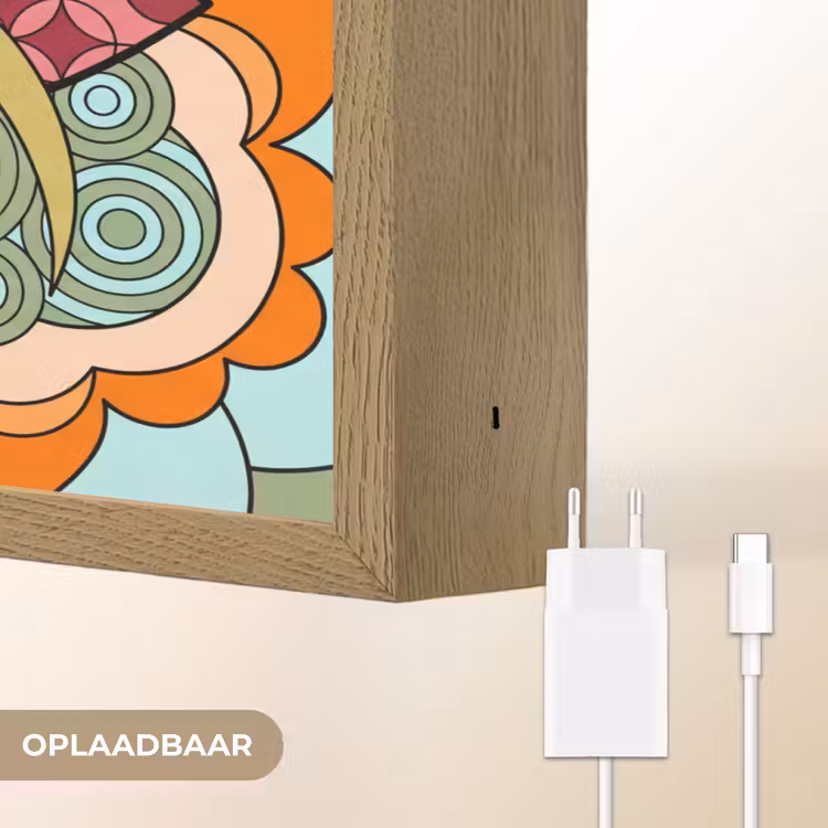 Mandala - Geometrisch - Kunst - Decoratief - Kleurrijk Light Box met batterij (Wandlamp) middel -USP_websiteoplaadbaarNL