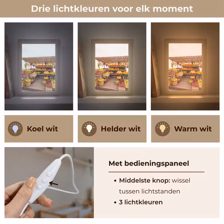 Lightbox - Wandlamp - Marktkraam - Fruit - Vers - Marktkraam - Fruit - Vers Light Box met kabel (Wandlamp) klein