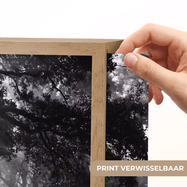 Mens - Hond - Natuur - Zwart-wit - Silhouet Light Box met batterij (Wandlamp) middel -USP_websiteprintNL