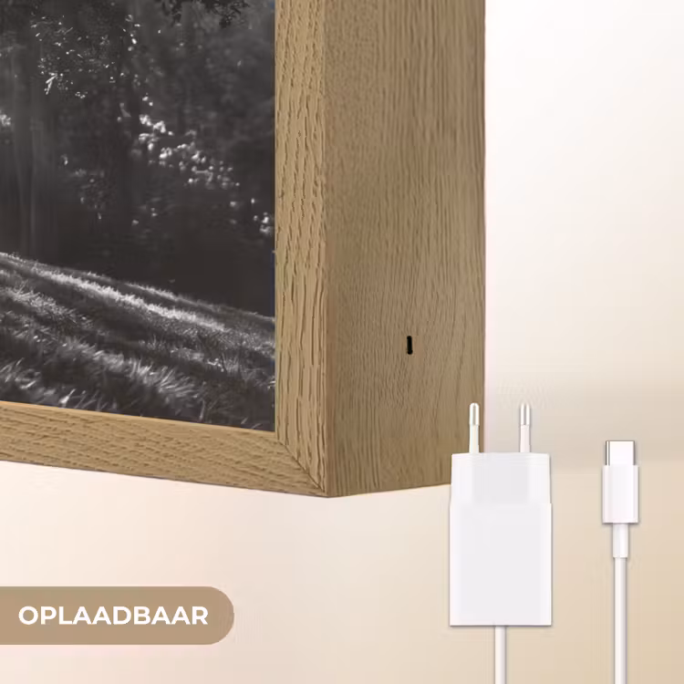 Mens - Hond - Natuur - Zwart-wit - Silhouet Light Box met batterij (Wandlamp) middel -USP_websiteoplaadbaarNL