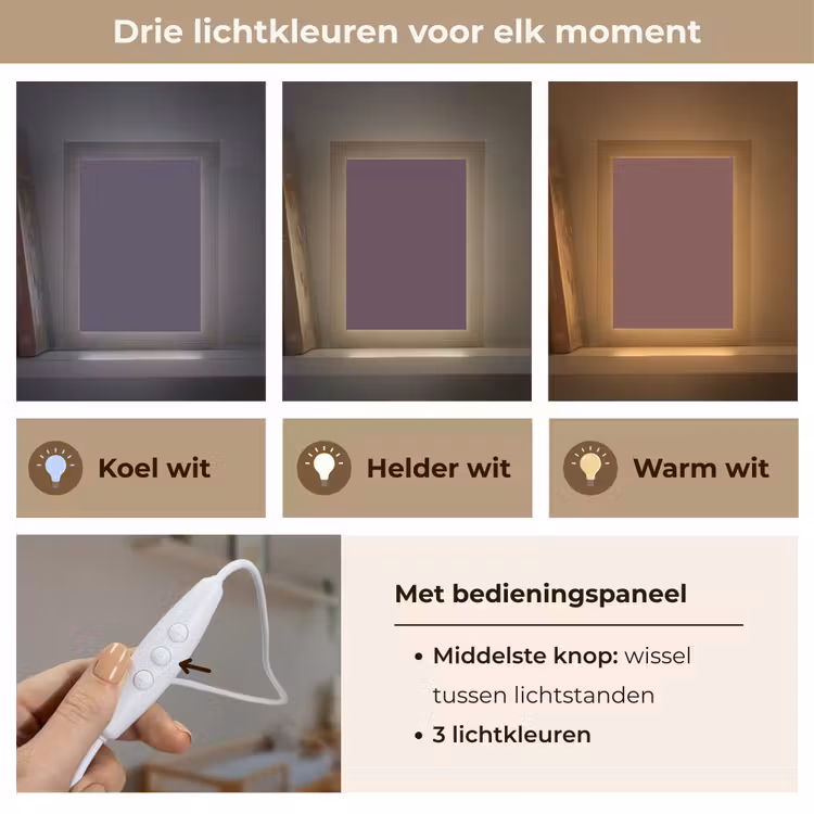 Midnight - Plum - Paars Light Box met kabel (Wandlamp) klein 929 -USP_lichtkleurNL