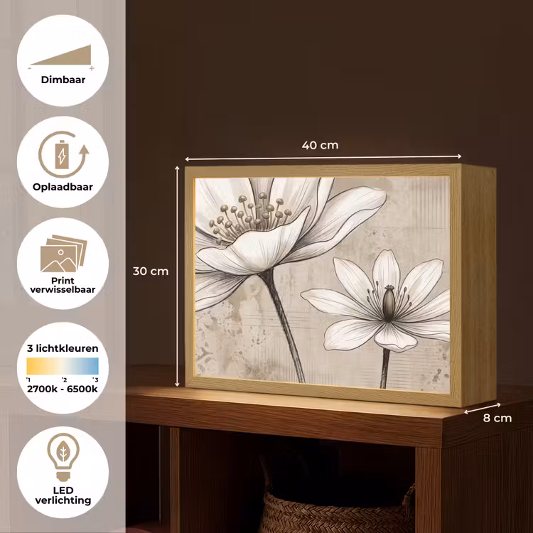 Modern - Design - Wit Light Box met batterij (Wandlamp) middel -USP_websiteoverzichtNL