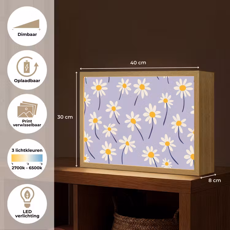 Modern - Madelief - Paars Light Box met batterij (Wandlamp) middel 907 -USP_websiteoverzichtNL