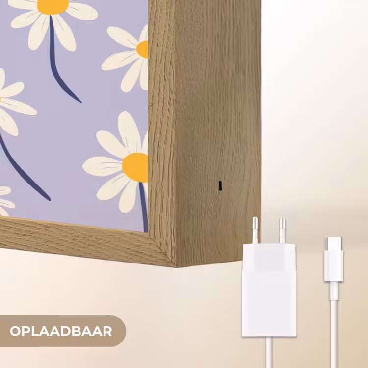 Modern - Madelief - Paars Light Box met batterij (Wandlamp) middel 907 -USP_websiteoplaadbaarNL