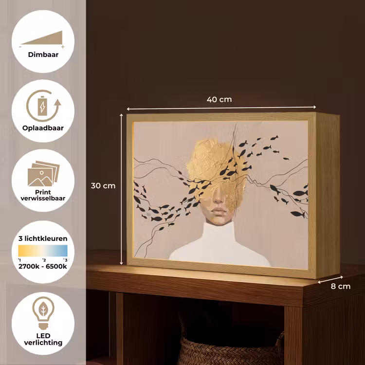 Modern - Vrouw - Goud Light Box met batterij (Wandlamp) middel -USP_websiteoverzichtNL