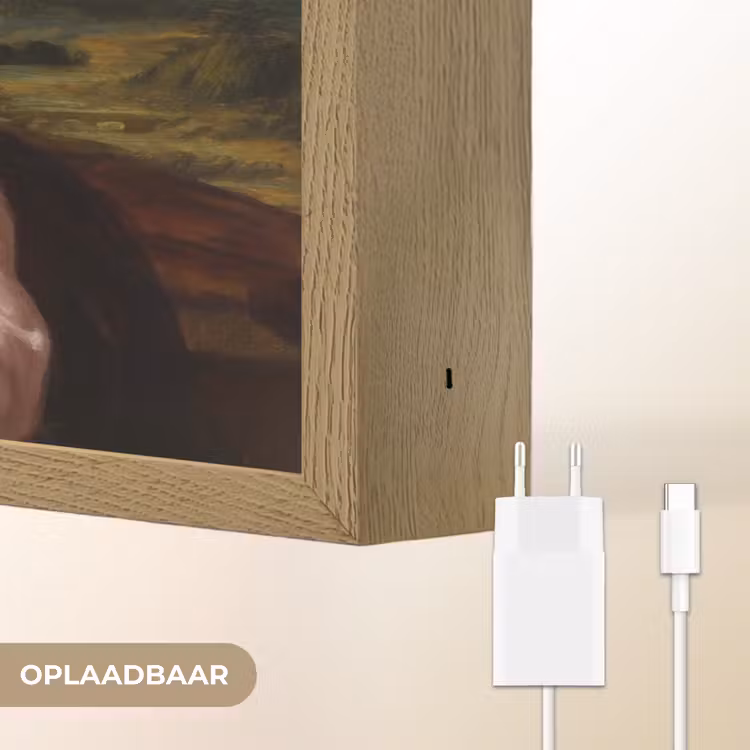 Mona - Klassiek - Roze Light Box met batterij (Wandlamp) middel -USP_websiteoplaadbaarNL