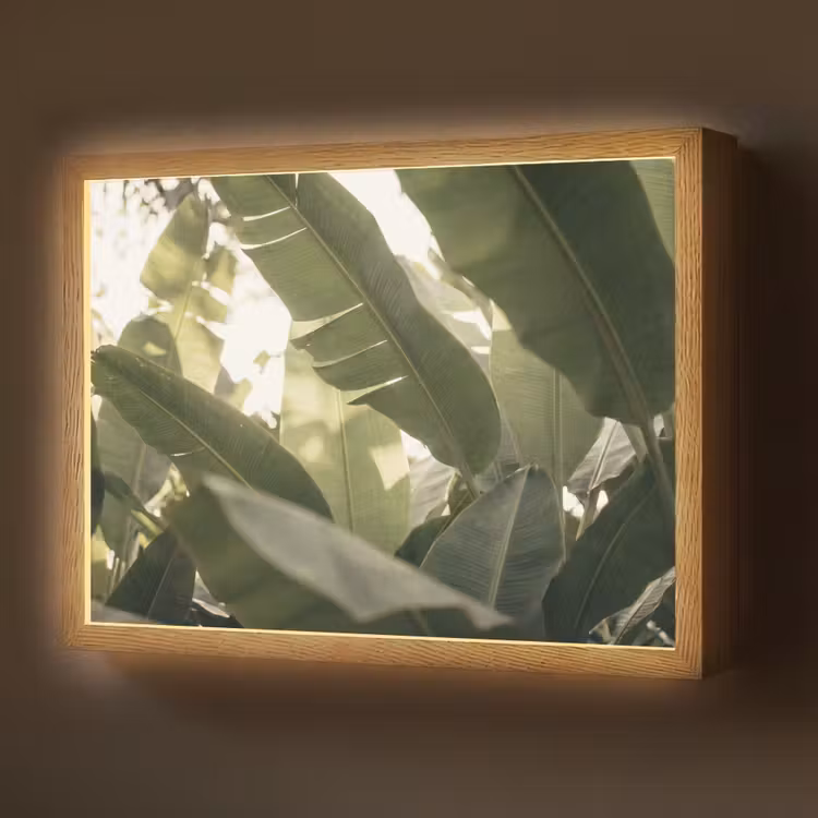 Natuur - Bladeren - Groen - Tropisch - Detail Light Box met batterij (Wandlamp) middel -z3d_website
