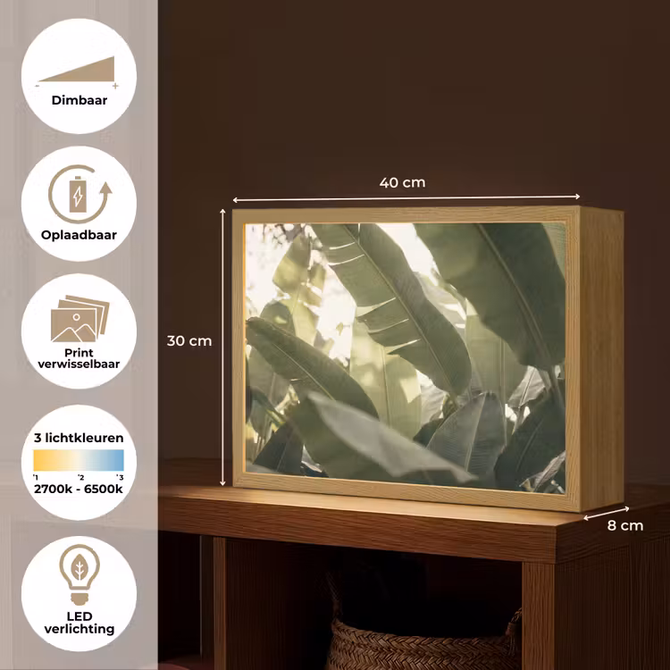 Natuur - Bladeren - Groen - Tropisch - Detail Light Box met batterij (Wandlamp) middel -USP_websiteoverzichtNL