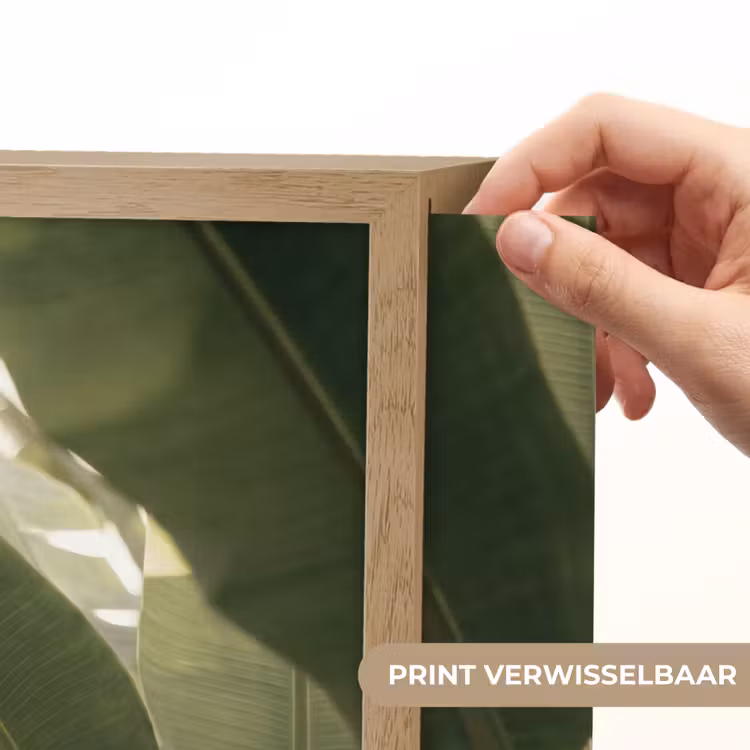 Natuur - Bladeren - Groen - Tropisch - Detail Light Box met batterij (Wandlamp) middel -USP_websiteprintNL