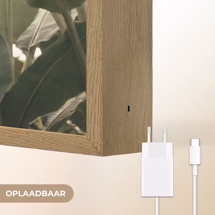 Natuur - Bladeren - Groen - Tropisch - Detail Light Box met batterij (Wandlamp) middel -USP_websiteoplaadbaarNL