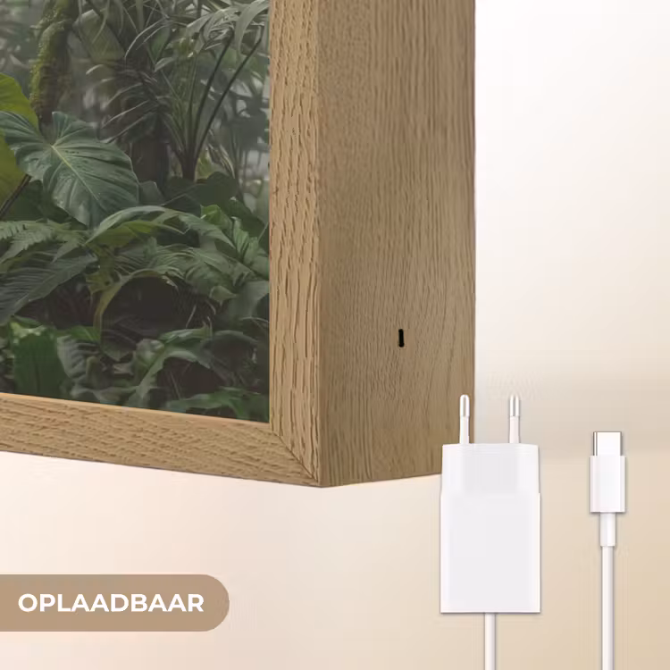Natuur - Jungle - Mist - Tropisch - Groen Light Box met batterij (Wandlamp) middel -USP_websiteoplaadbaarNL