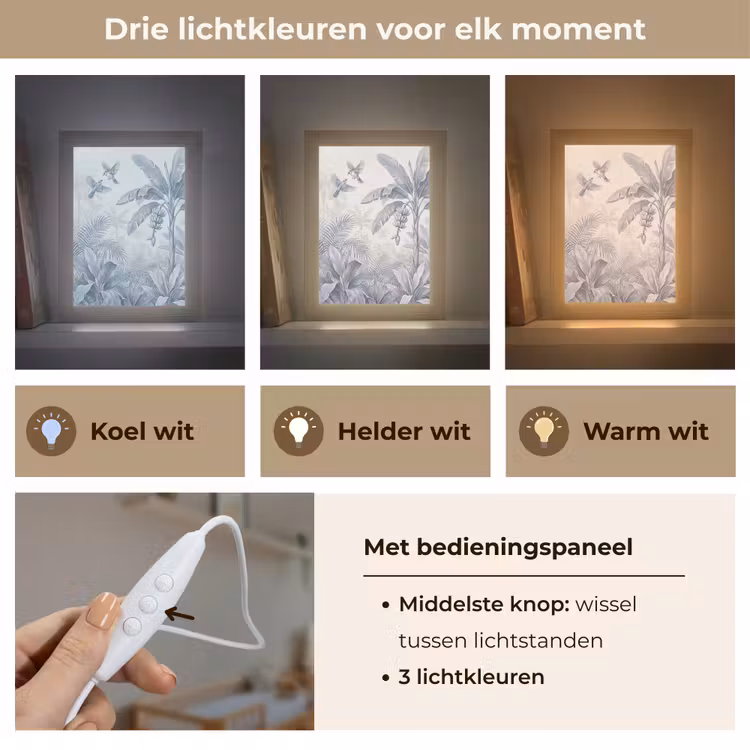 Natuur - Vogel - Jungle - Illustratie - Blauw Light Box met kabel (Wandlamp) klein -USP_lichtkleurNL
