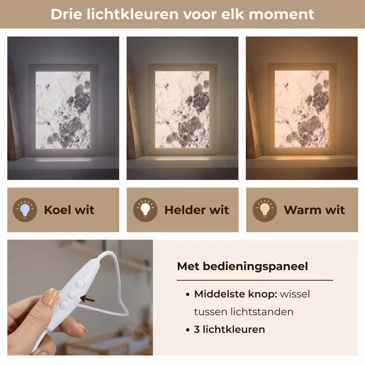 Natuursteen - Patroon - Abstract - Beige - Grijs Light Box met kabel (Wandlamp) klein -USP_lichtkleurNL