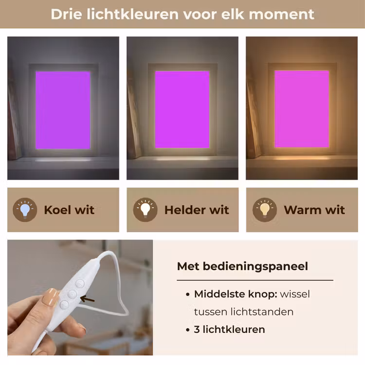 Neon - Orchid - Paars Light Box met kabel (Wandlamp) klein 929 -USP_lichtkleurNL