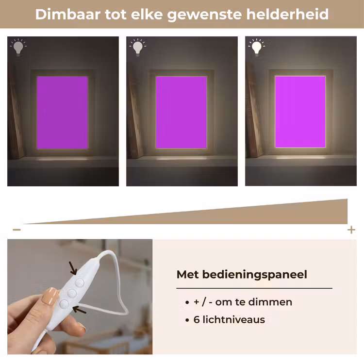 Neon - Orchid - Paars Light Box met kabel (Wandlamp) klein 929 -USP_dimbaarNL