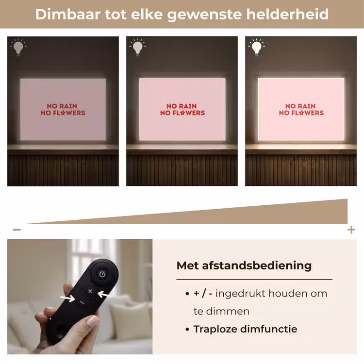 No rain no flowers - Minimalistisch - Roze - Bloem Light Box met batterij (Wandlamp) middel -USP_dimbaarNL