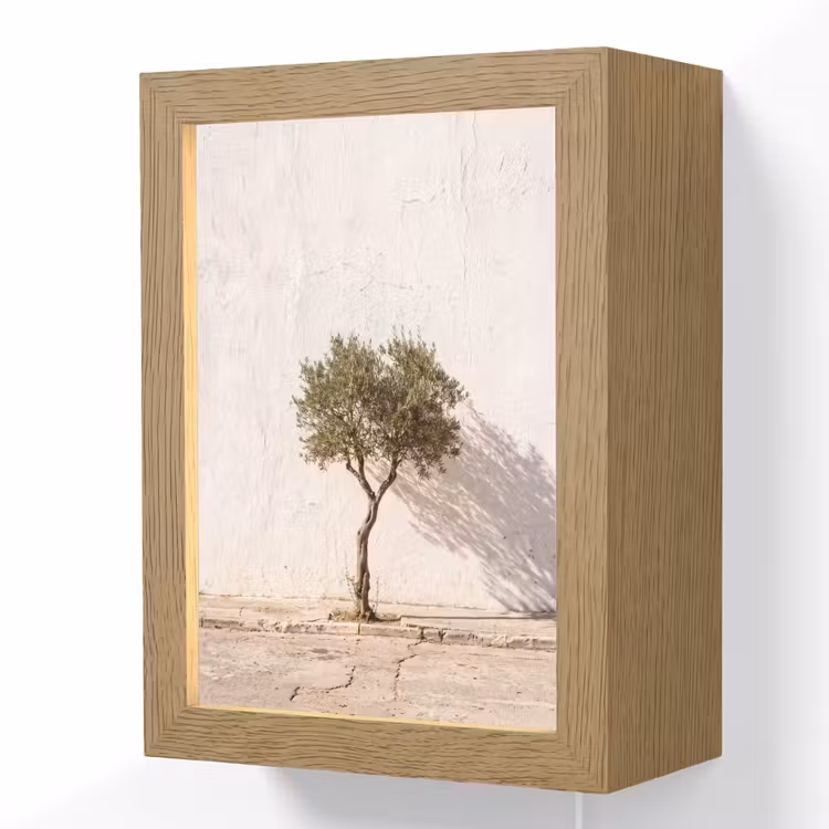 Lightbox - Wandlamp - Olijfboom - muur - wit - Olijfboom - muur - wit Light Box met kabel (Wandlamp) klein