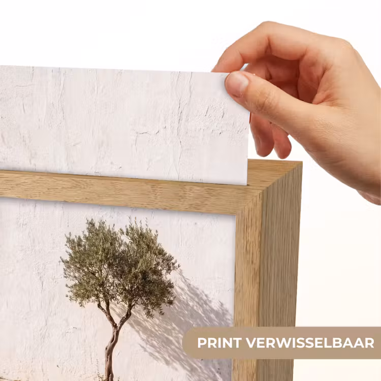 Lightbox - Wandlamp - Olijfboom - muur - wit - Olijfboom - muur - wit Light Box met kabel (Wandlamp) klein