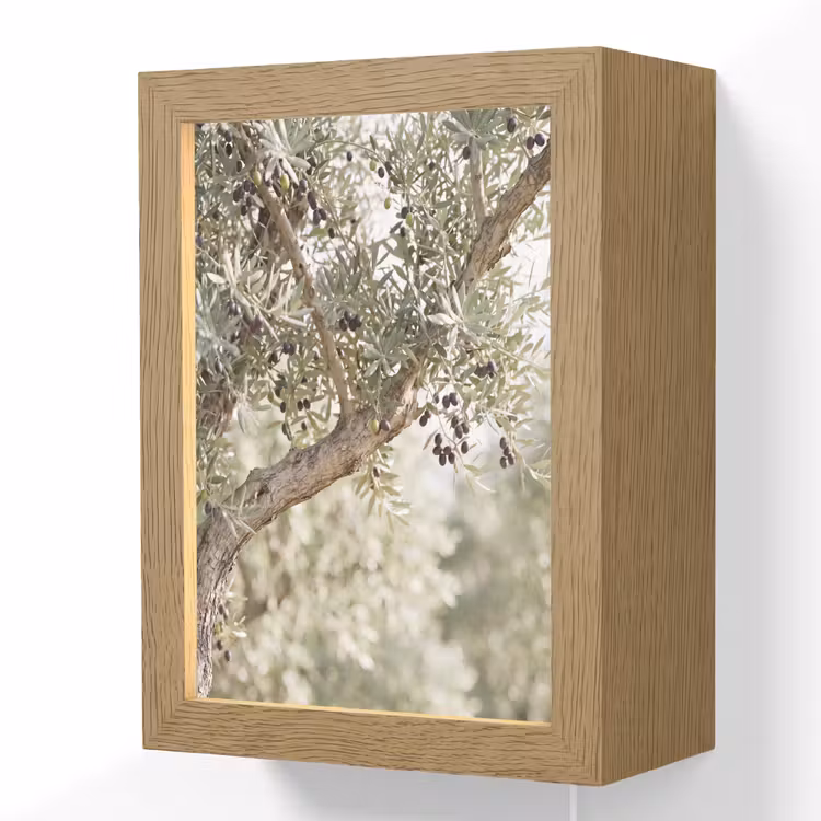 Lightbox - Wandlamp - Olijfboom - tak - groen - Olijfboom - tak - groen Light Box met kabel (Wandlamp) klein